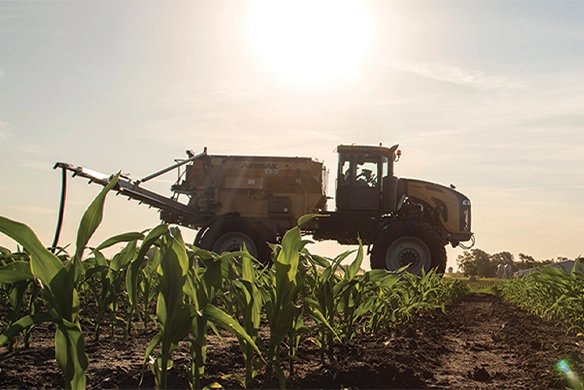 TerraGator applicator spraying crops in a cornfield at sunrise