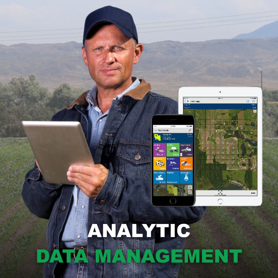 Analytical Data Management