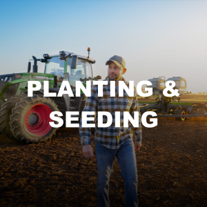 planting and seeding