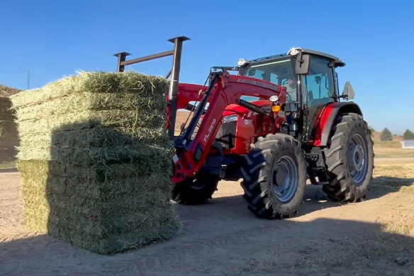 Massy Ferguson tractor with FL.3819 loader moving large square hay bales.