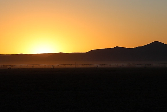 Silhouette of mountains and an alfalfa field in Idaho at sunrise.