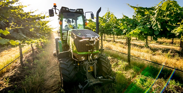 Fendt 200 V/F/P Specialty tractor working in a vinyard.
