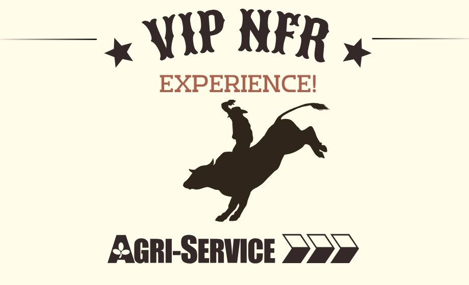 nfr blog